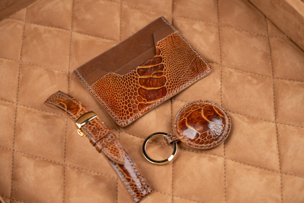 New- Exotic Credit Card set